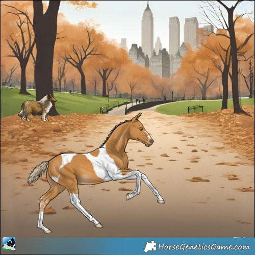 Horse Color:Palomino Tobiano