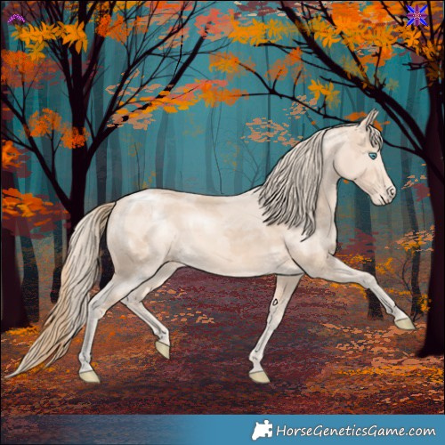 Horse Color:Perlino Merle 
