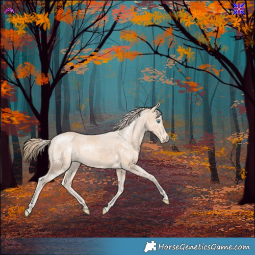 Horse Color:Perlino Merle 