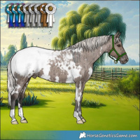 Horse Color:White Spotted Liver Red Dun Mushroom Appaloosa Brindle 
