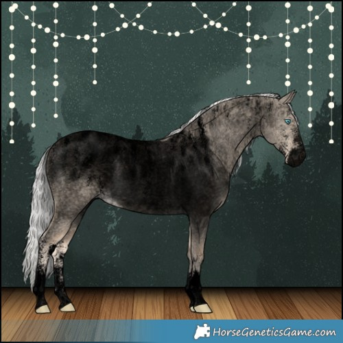 Horse Color:Powder White Void Silver Perlino Roan Dun 