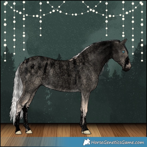 Horse Color:Powder White Void Silver Perlino Roan Dun