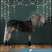 Horse Color:Powder White Void Silver Perlino Roan Dun 