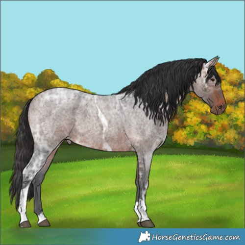 Horse Color:Brown Ice Roan Tobiano 