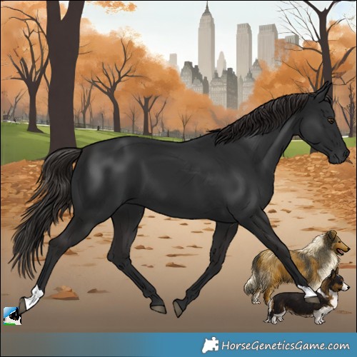 Horse Color:Gray Liver Chestnut