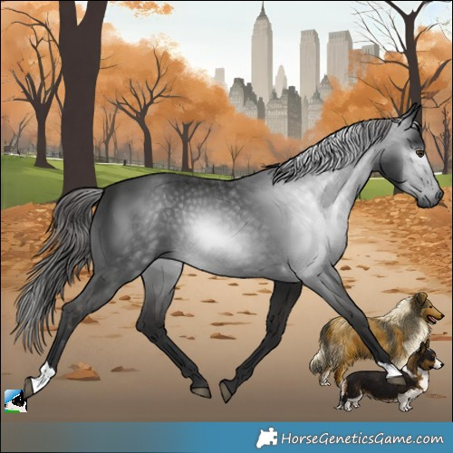 Horse Color:Gray Liver Chestnut 
