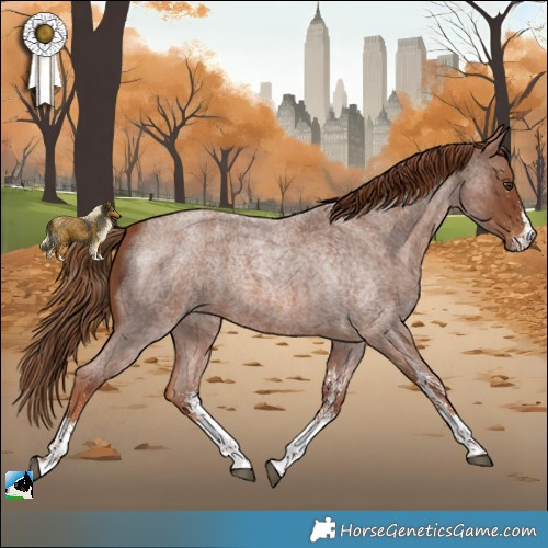 Horse Color:White Spotted Red Roan Rabicano 