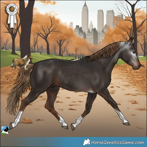 Horse Color:Gray Liver Chestnut Tobiano Rabicano 