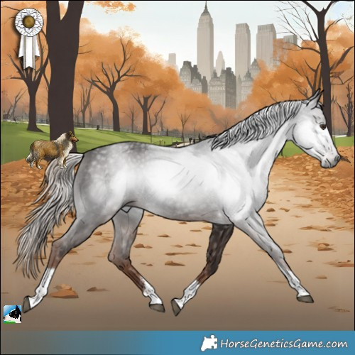 Horse Color:Gray Liver Chestnut Tobiano Rabicano 