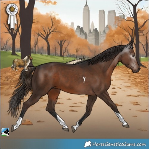 Horse Color:Gray Liver Chestnut Tobiano 