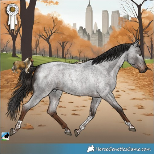 Horse Color:Gray Liver Red Roan Tobiano Rabicano