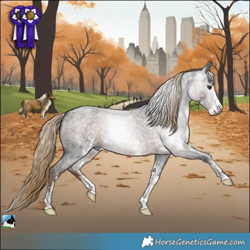 Horse Color:Gray White Spotted Liver Red Roan Rabicano 
