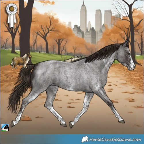 Horse Color:White Spotted Liver Red Roan