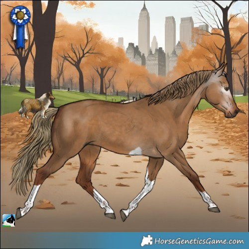 Horse Color:Gray Red Dun Tobiano 