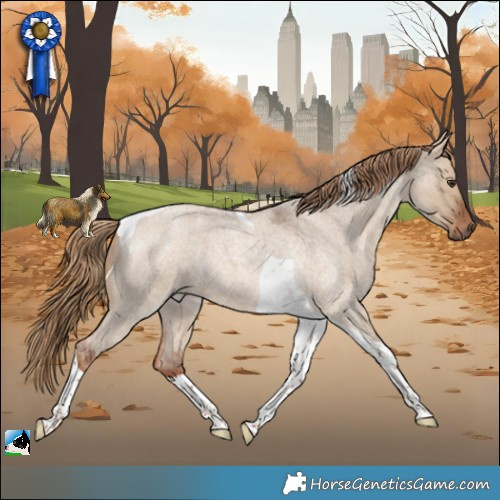 Horse Color:Red Dun Roan Tobiano 