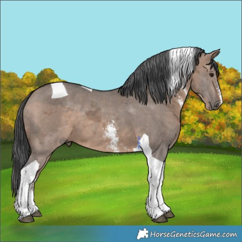 Horse Color:Brown Dun Merle Sabino Tobiano 