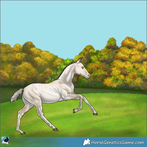 Horse Color:Palomino Pearl Dun 