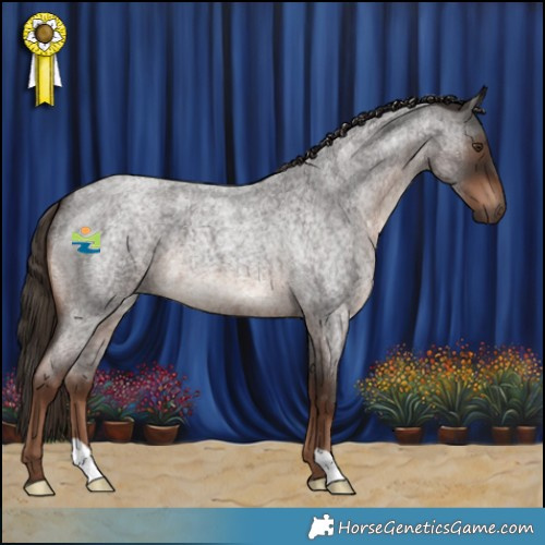 Horse Color:Liver Red Roan 