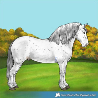 Horse Color:White Spotted Brown Merle Tobiano Varnish 