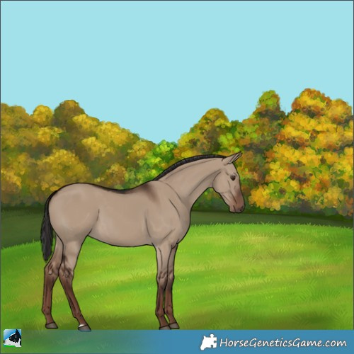 Horse Color:Liver Red Dun 