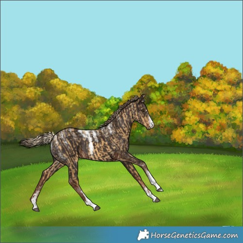 Horse Color:Powder White Palomino Dun  and Powder White Liver Chestnut 