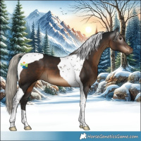 Horse Color:Gray Silver Brown Tobiano 