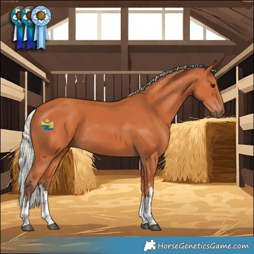 Horse Color:White Spotted Silver Bay 