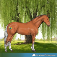 Horse Color:White Spotted Silver Bay