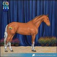 Horse Color:White Spotted Silver Bay 