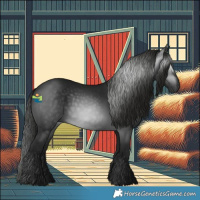 Horse Color:Gray Black 