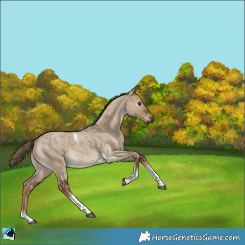 Horse Color:Gray Liver Red Dun Roan Tobiano 