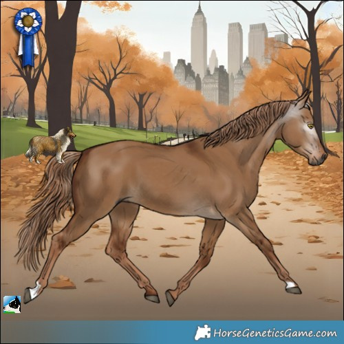 Horse Color:Gray Red Dun 