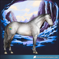 Horse Color:Gray Brown Tobiano