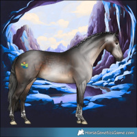 Horse Color:Gray Brown Tobiano 