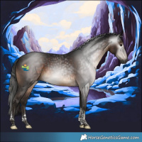 Horse Color:Gray Brown Tobiano