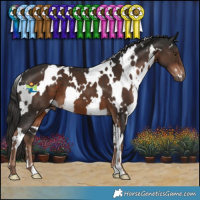Horse Color:White Spotted Liver Chestnut