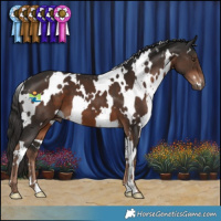 Horse Color:White Spotted Liver Chestnut