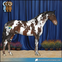 Horse Color:White Spotted Liver Chestnut