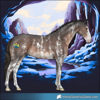 Horse Color:Liver Chestnut Sabino Varnish 