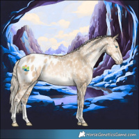 Horse Color:Chocolate Palomino Snowdrop Dun Sabino Blanket