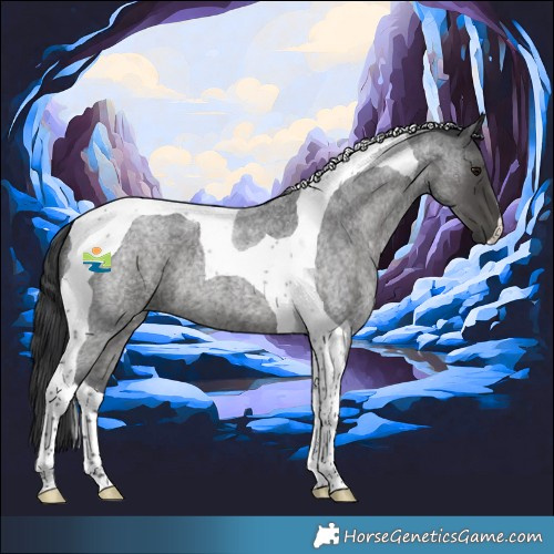 Horse Color:Blue Roan Tobiano 