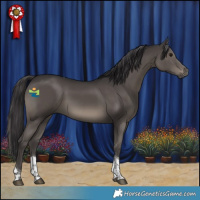 Horse Color:Smoky Black Tobiano 