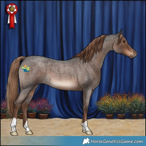 Horse Color:Liver Red Roan 