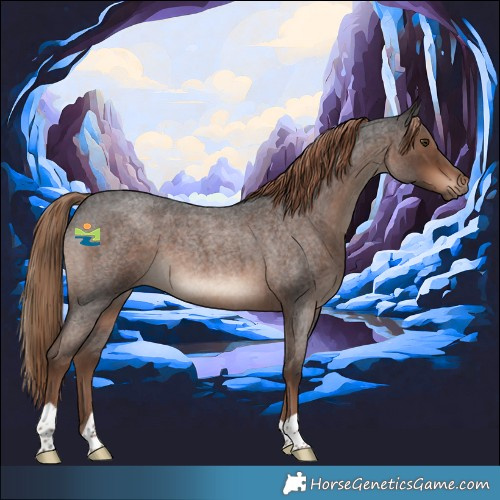Horse Color:Liver Red Roan 