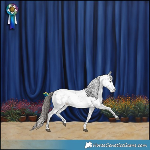 Horse Color:Liver Chestnut Sabino Rabicano 