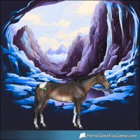 Horse Color:Brown Sabino Tobiano Rabicano