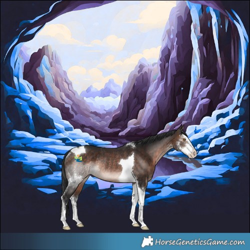 Horse Color:Brown Mushroom Sabino Tobiano Rabicano 