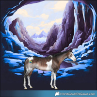 Horse Color:Brown Mushroom Sabino Tobiano Rabicano 