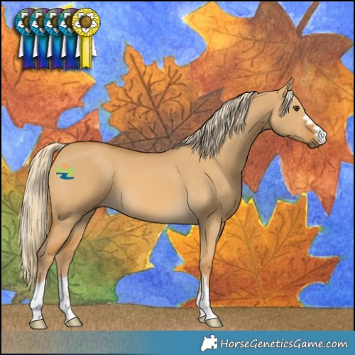 Horse Color:Palomino Dun 