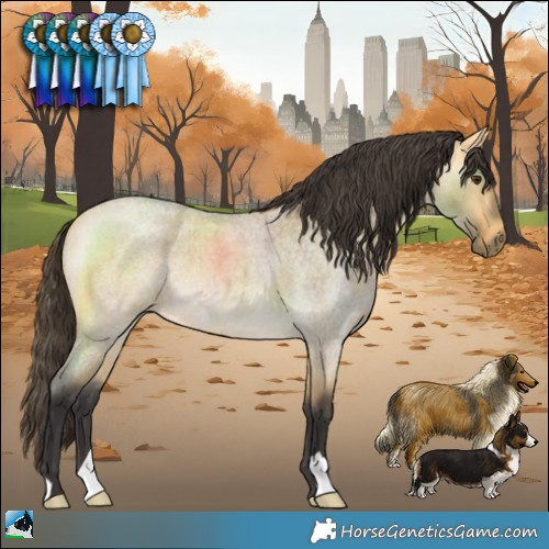 Horse Color:Buckskin Roan Dun 